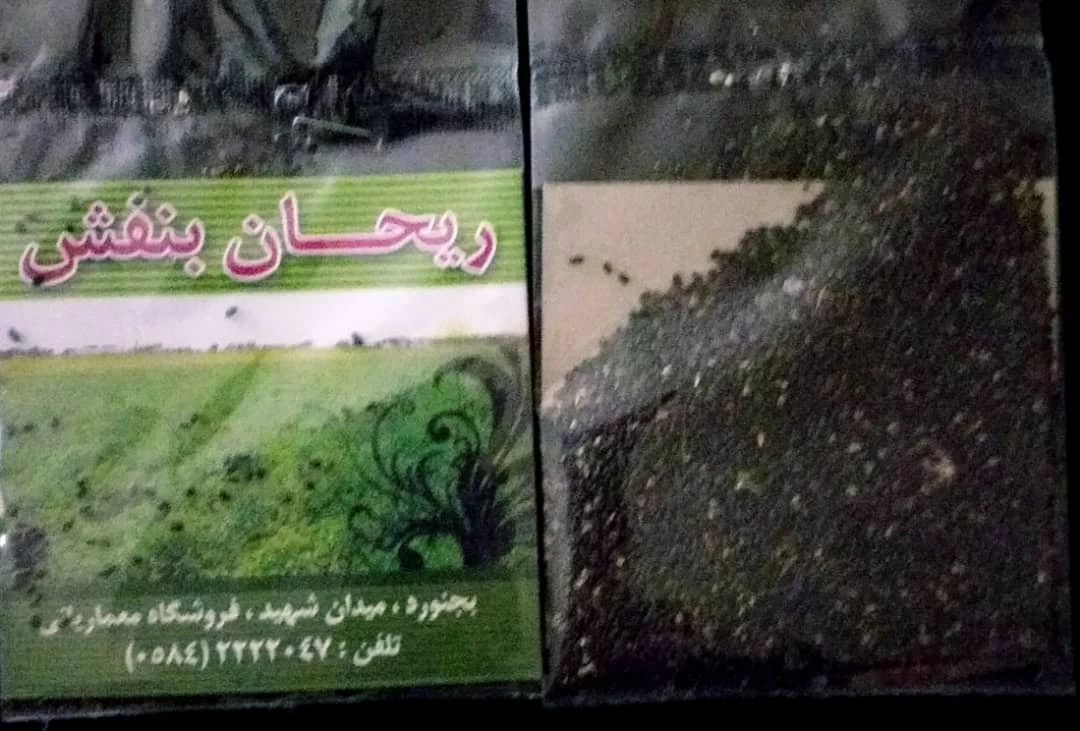 بذر ریحان بنفش مهشاد