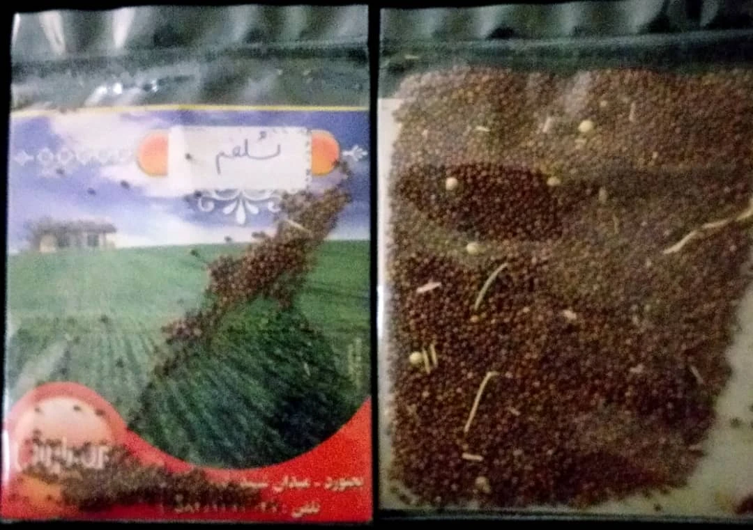 بذر شلغم مهشاد