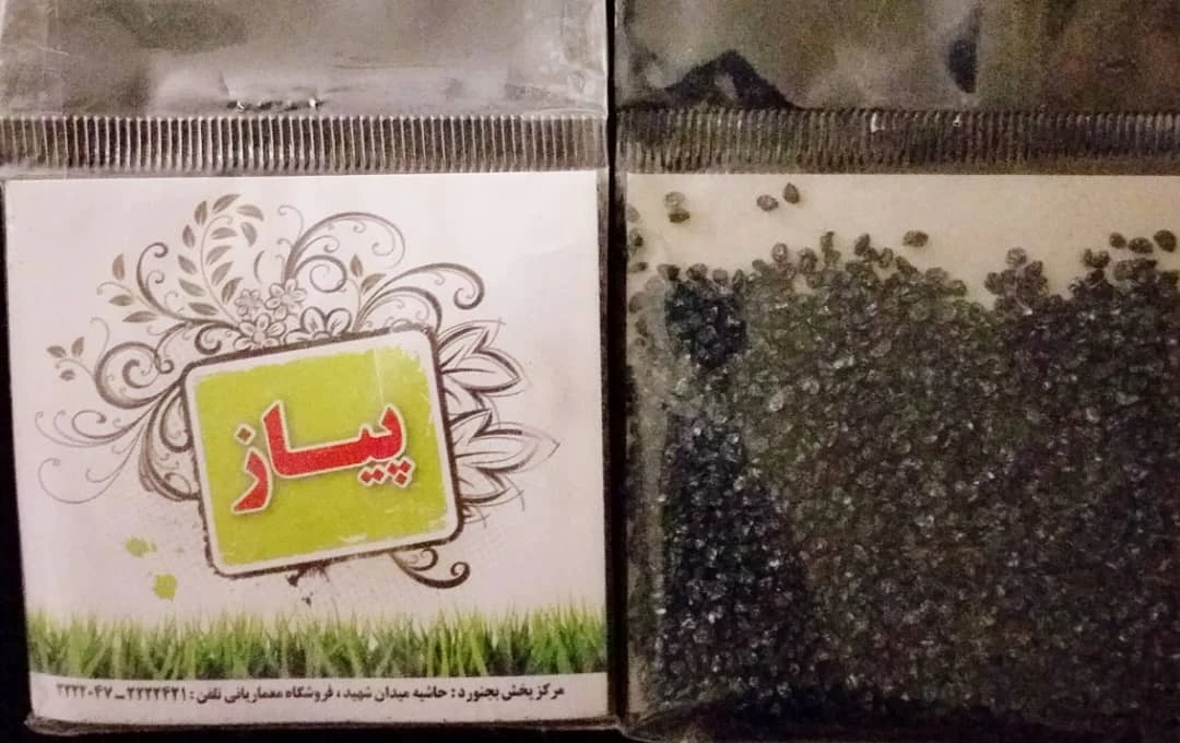 بذر پیاز مهشاد