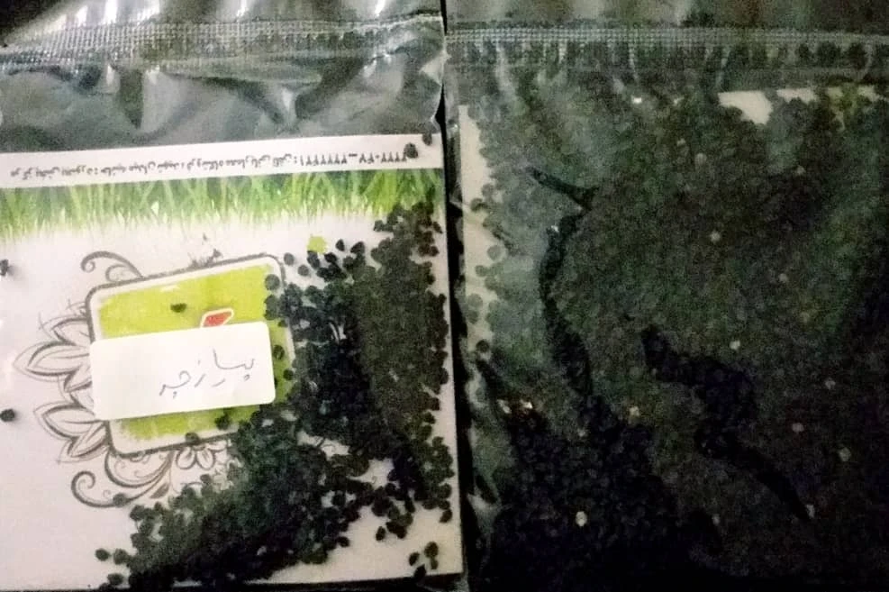 بذر پیازچه مهشاد