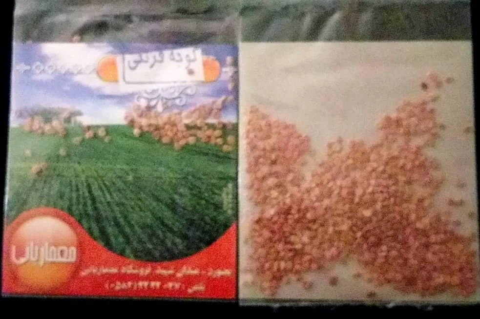 بذر گوجه فرنگی مهشاد