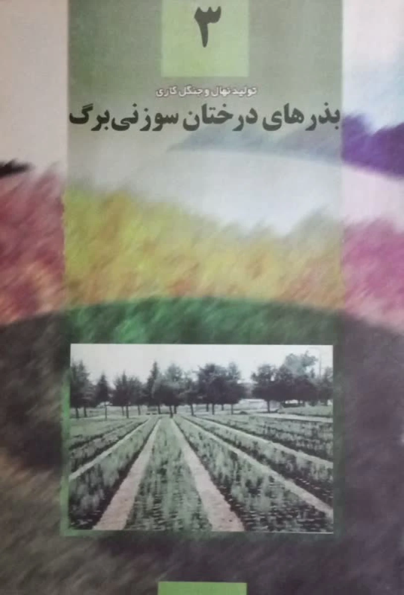 بذرهای درختان سوزنی برگ 3 / فرهاد اسدی / رضا باقری