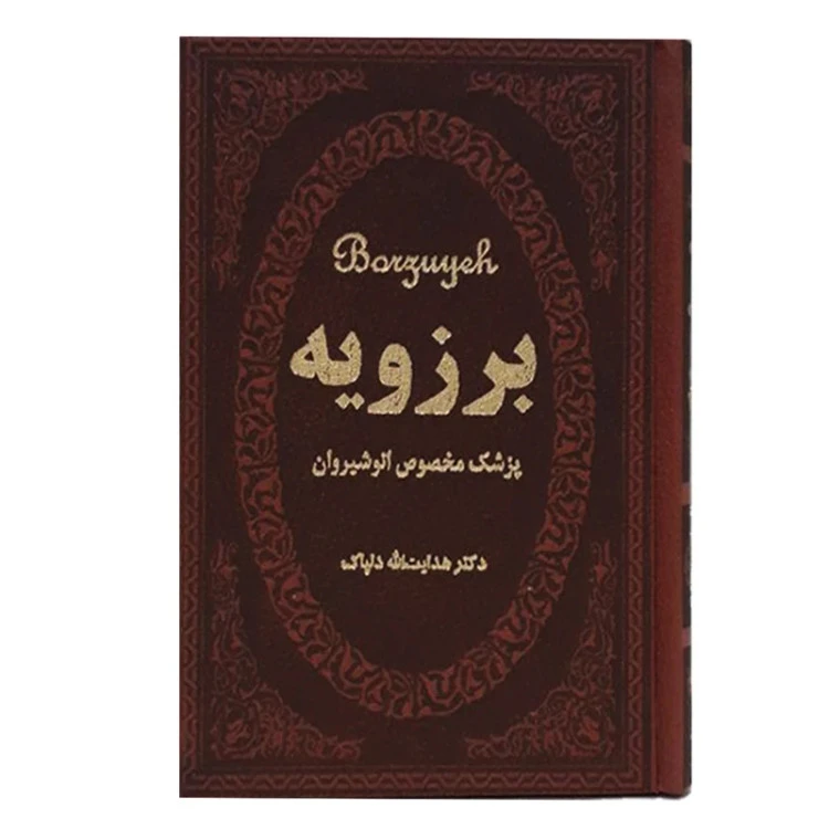 برزویه پزشک مخصوص انوشیروان هدایت الله دلپاک پارمیس (جلد سخت)