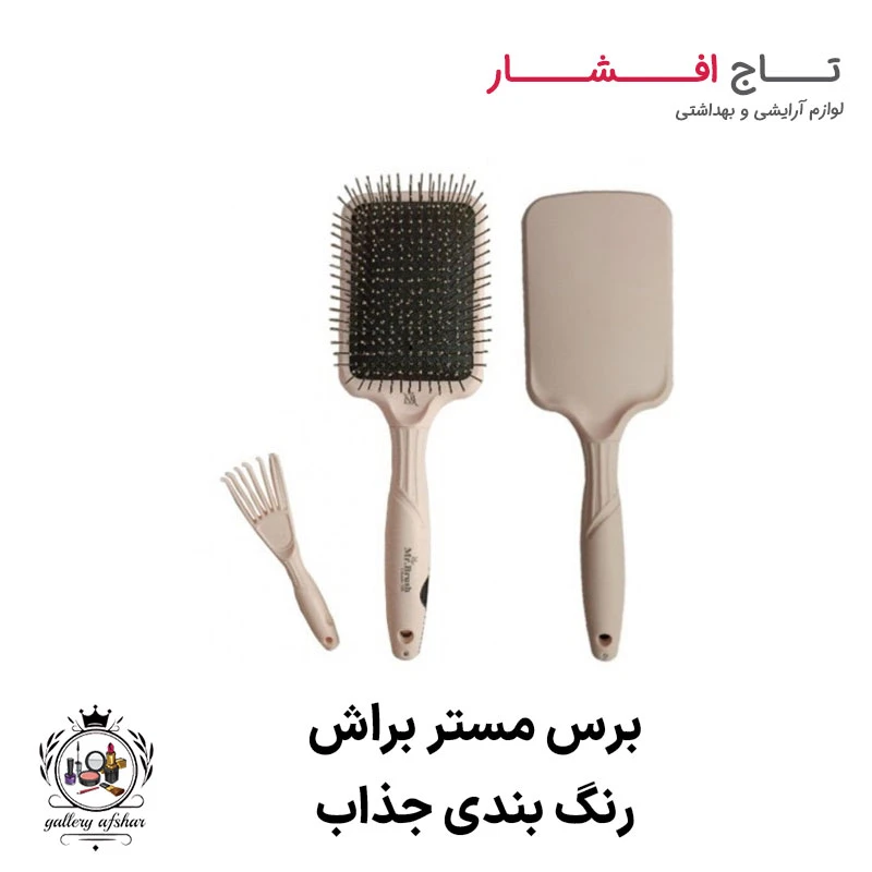 برس مستر براش (رنگ بندی متنوع)