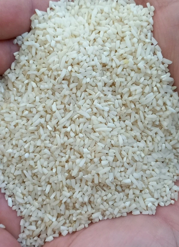 برنج هاشمی گیلان ، لاشه