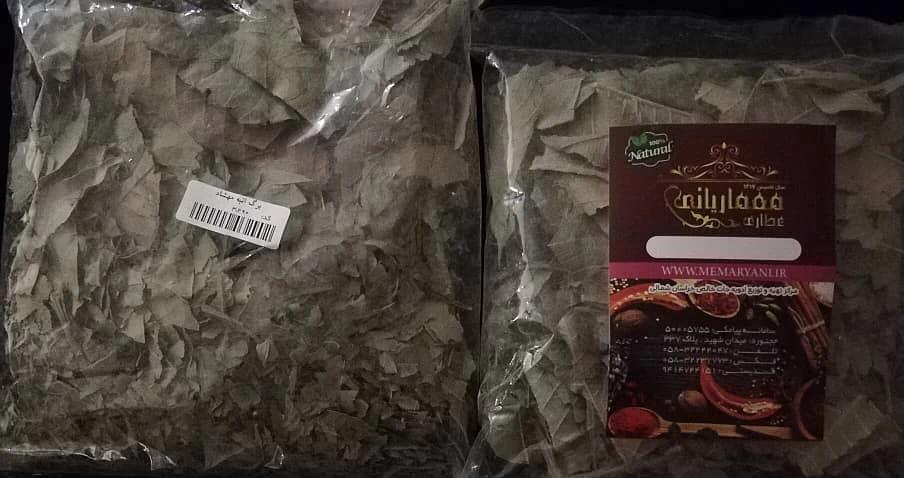 برگ انبه مهشاد