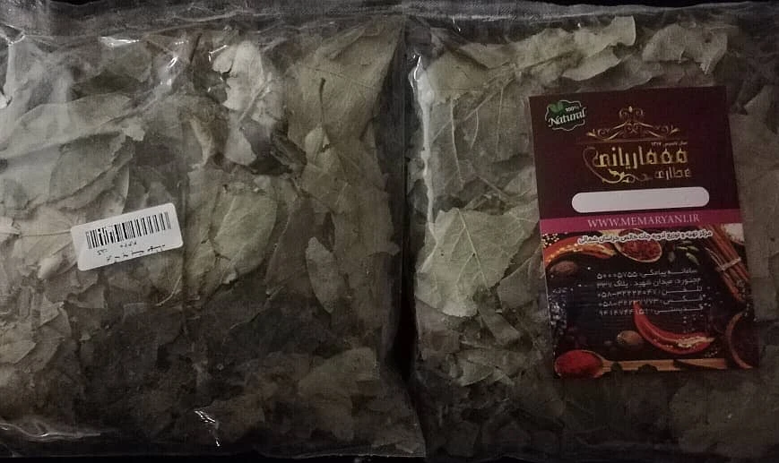 برگ به مهشاد
