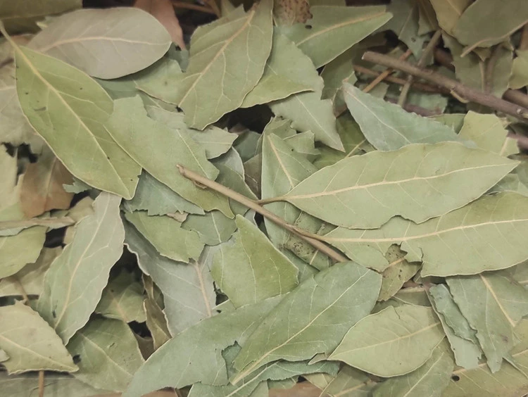 برگ بو خالص معطر ادویه خوراکی
