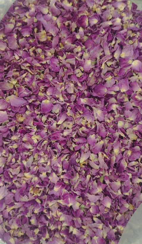 برگ گل محمدی خشک معطر دمنوش گیاهی