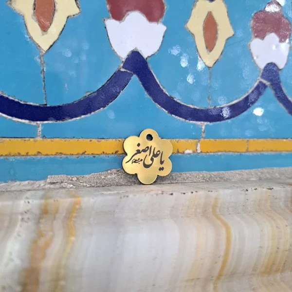 بسته 20 عددی پلاک مولتی استایل 2 سانتی یا علی اصغر