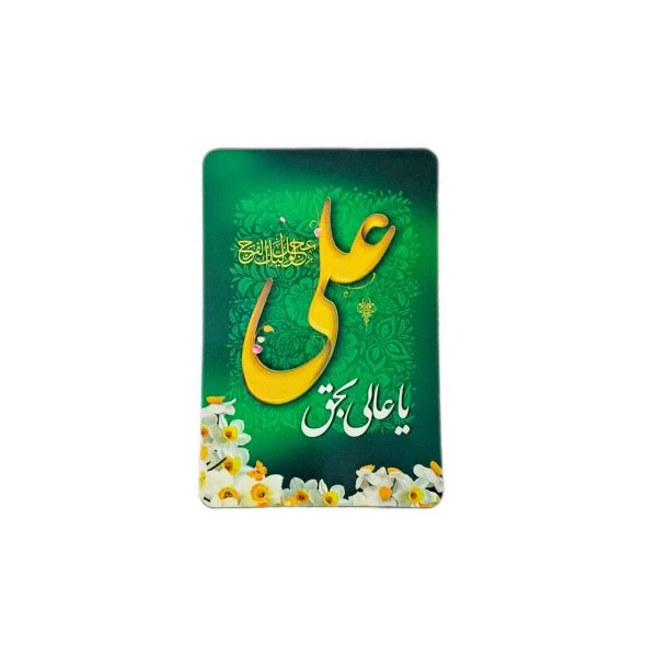 بسته 50عددی مگنت یخچال علوی سبز