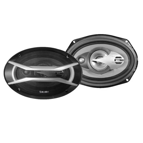 بلندگوی ساووی مدل SV-6902