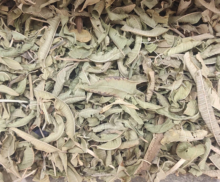 به لیمو خشک معطر دمنوش آرام‌بخش