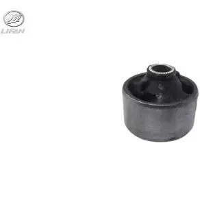بوش طبق بزرگ لیفان 820