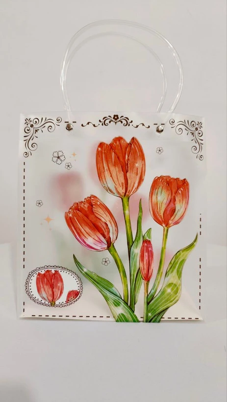 بگ کادویی طرح دار شفاف