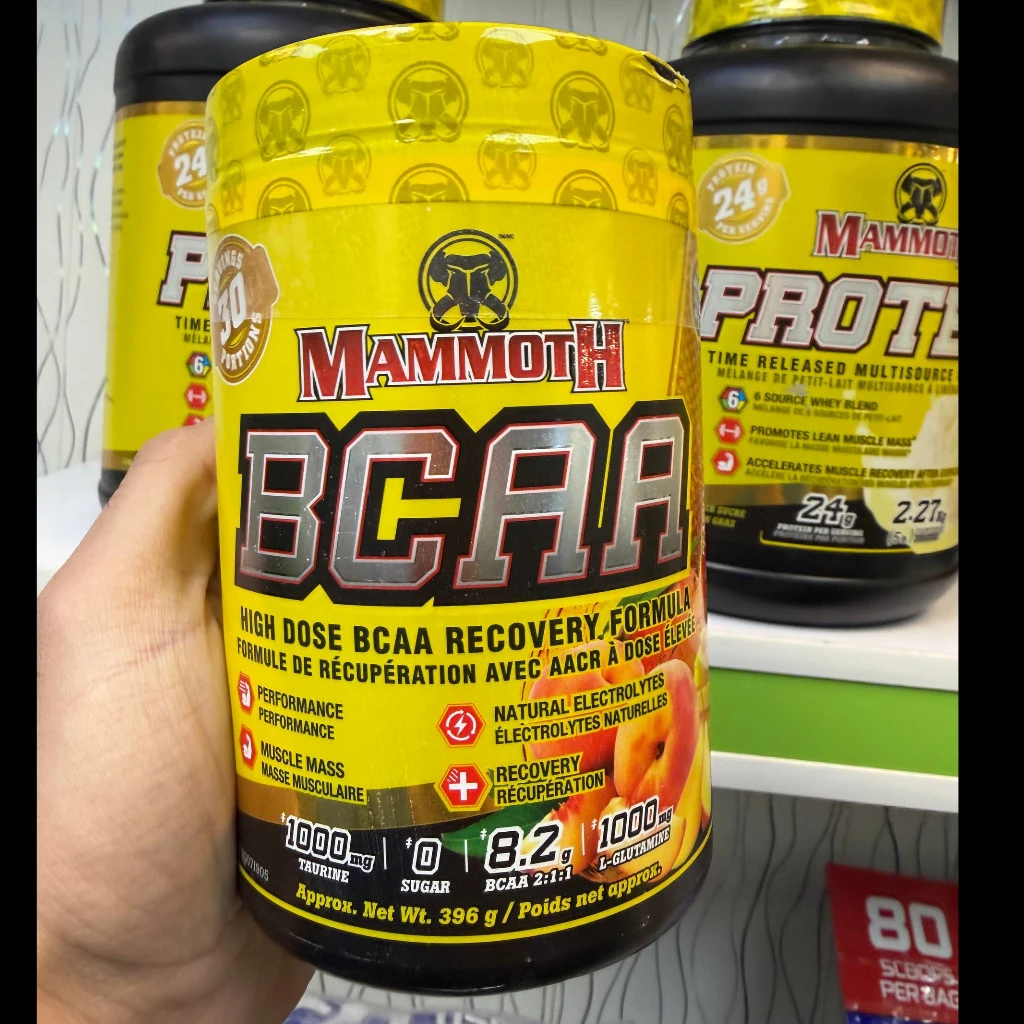 بی سی ای ای ماموت (MAMMOTH BCAA Recovery Formula)