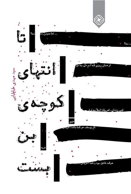 تا انتهای کوچه ی بن بست سیدمهدی طباطبایی خاموش