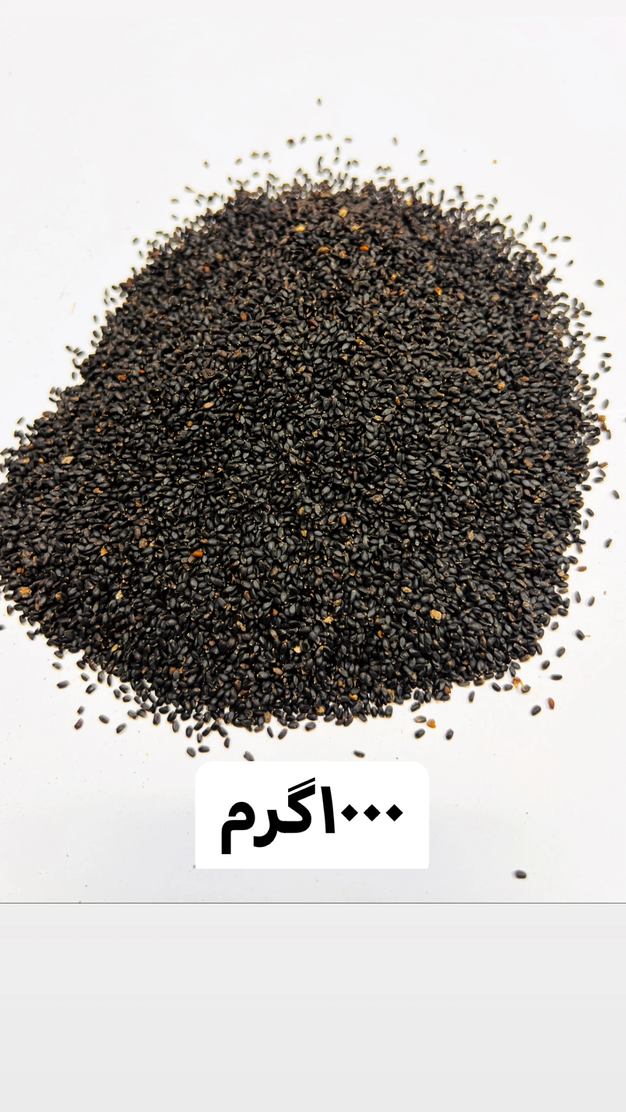 تخم شربتی-1
