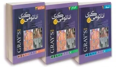 ترجمه کامل آناتومی گری برای دانشجویان 2020 دکتر شیرازی سه جلدی