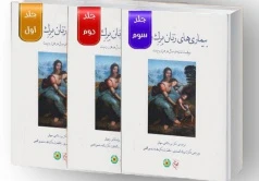 ترجمه کامل بیماری های زنان برک و نواک 2020 (سه جلدی رنگی)