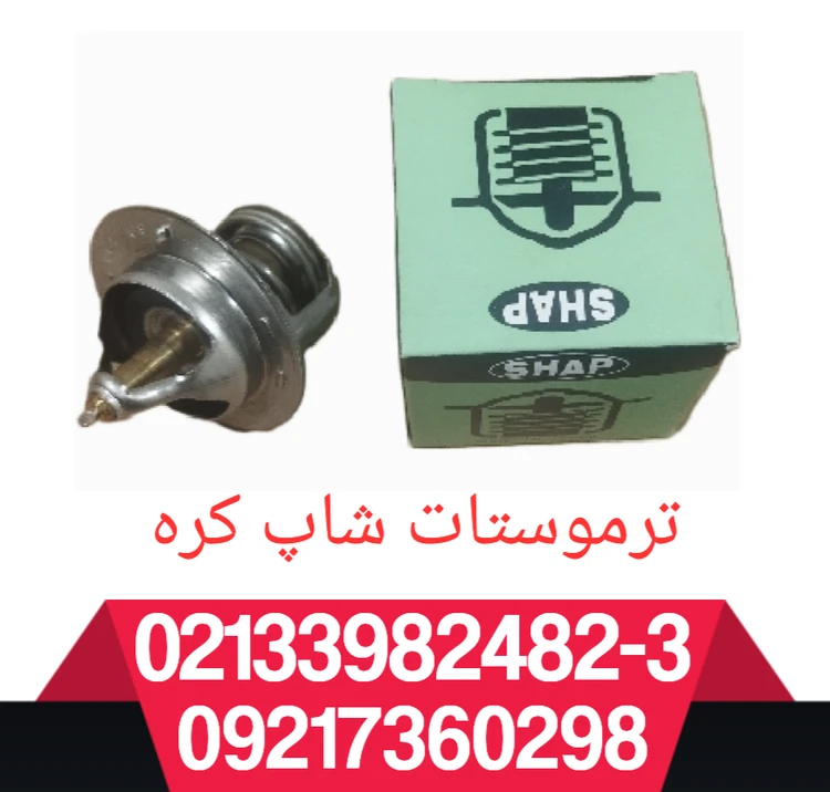 ترموستات ریو کره ی