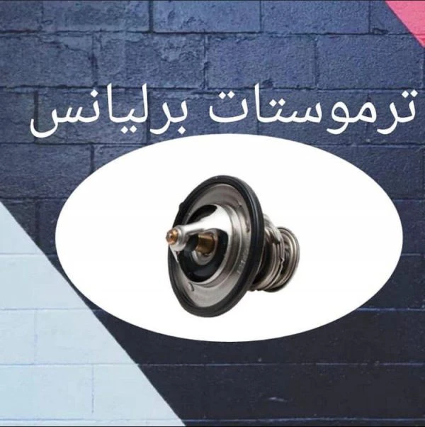 ترموستات