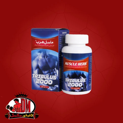 تریبولوس ماسل هرب 60 عددی