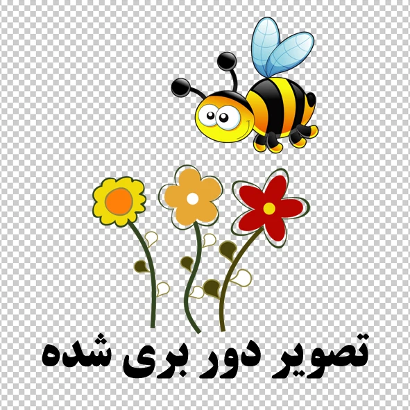 تصویر دور بری زنبور و گل