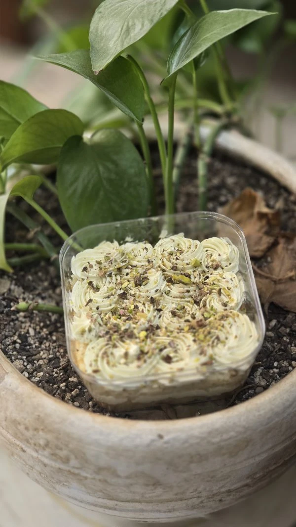 جار کیک پسته