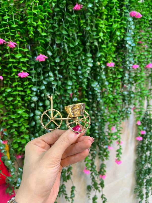 جاشمعی دوچرخه طلایی
