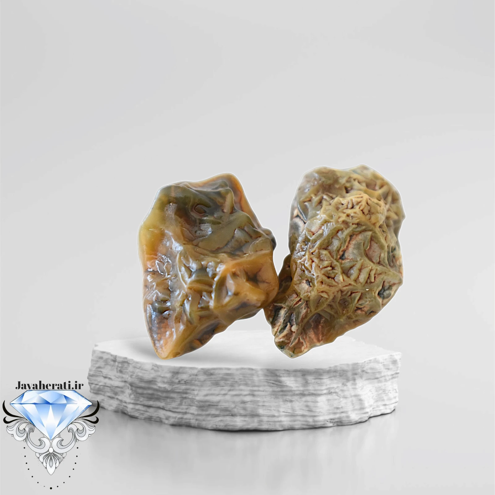 جفت زوعه خاص و درشت Z20