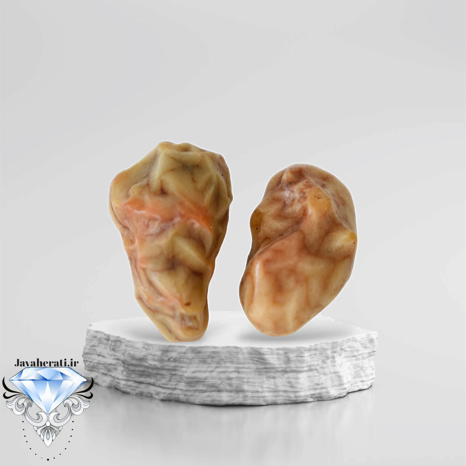 جفت زوعه خاص و کمیاب Z13