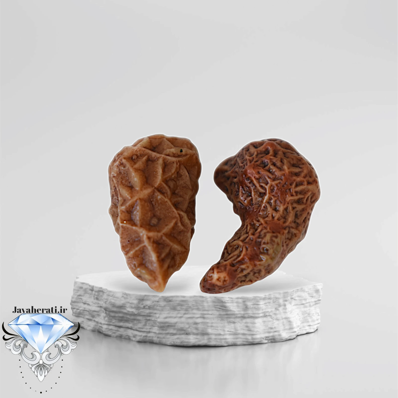 جفت زوعه سرخ بسیار خاص و کمیاب Z18