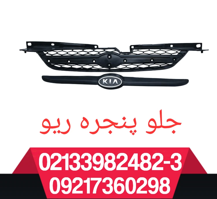 جلو پنجره ریو