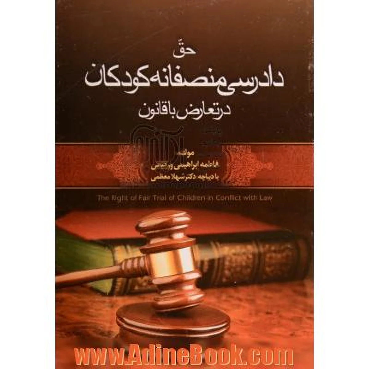 حق دادرسی منصفانه کودکان در تعارض با قانون / فاطمه ابراهیمی ورکیانی / شهلا معظمی / نشرجنگل