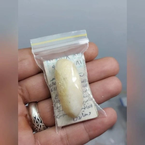 خ.رمهره اصل افغان