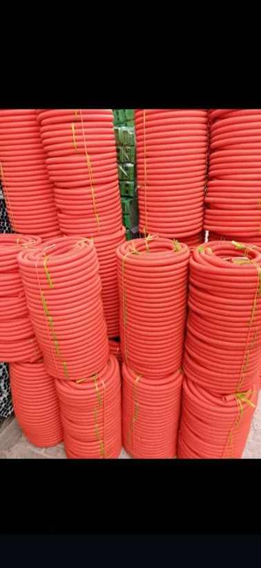 خرطومی نارنجی درجه 1