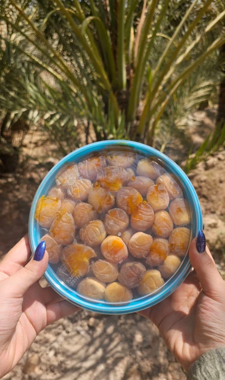 خرما برحی عسلی آبادان تازه و تمیز