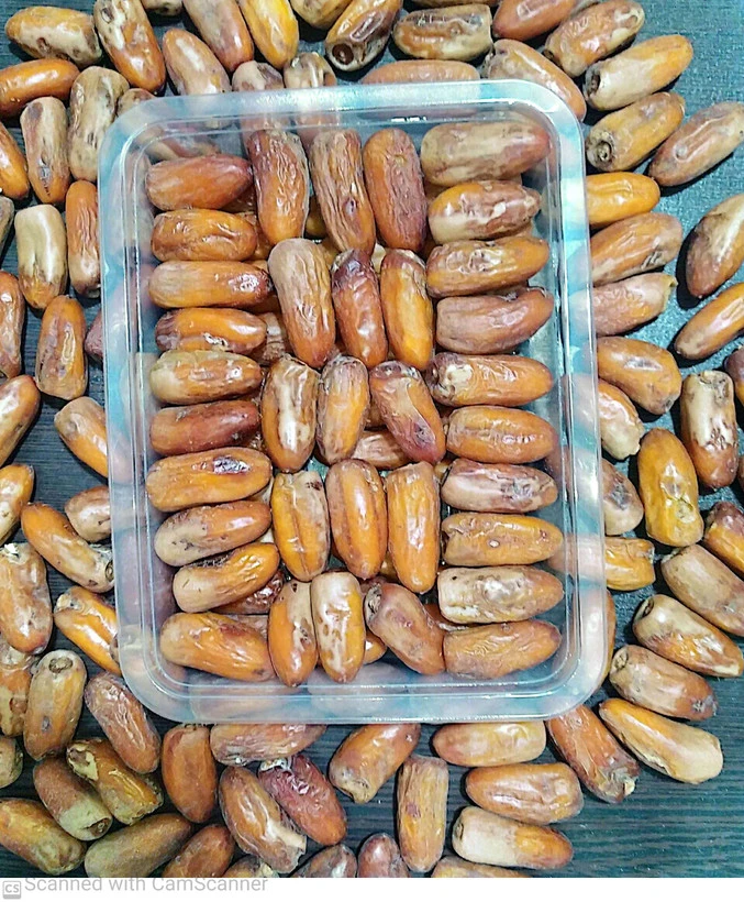 خرما خشک آجیلی رقم صدگنجی