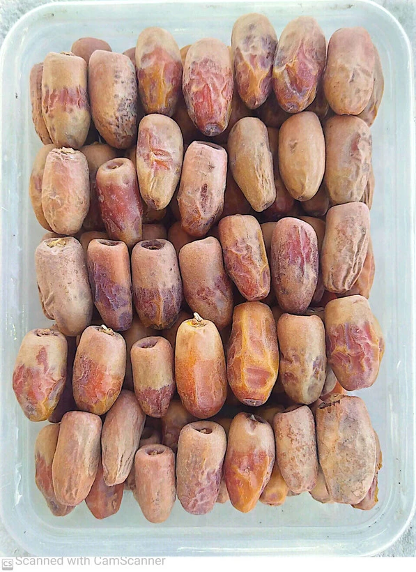 خرما خشک آجیلی وکیوم شده رقم وش کنک