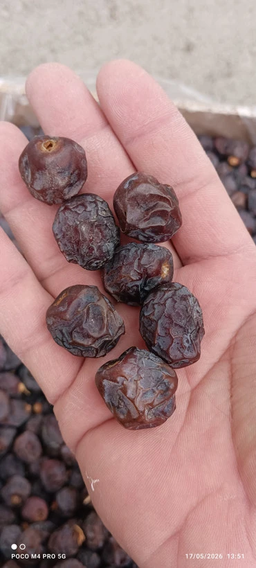 خرما گنتال(آلویی) یک کیلوگرمی