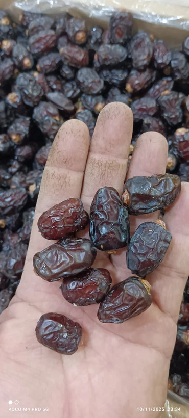 خرما گچخاو
