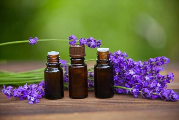 خرید روغن بنفشه زیتونی 20 سی سی – ترکیب شگفت‌انگیز برای پوست، مو و سلامتی