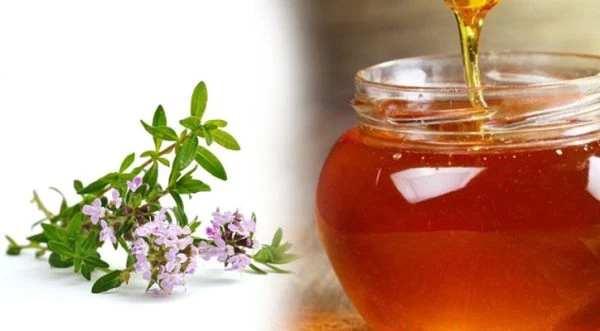خرید عسل آویشن طبیعی کوهستان – طعم ناب، خواص دارویی بی‌نظیر