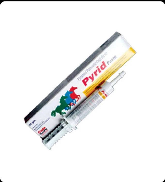 خمیر انگل Pyrid