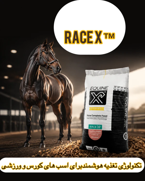 خوراک تخصصی Race X™ رایمون ویژه اسب‌های ورزشی و کورس