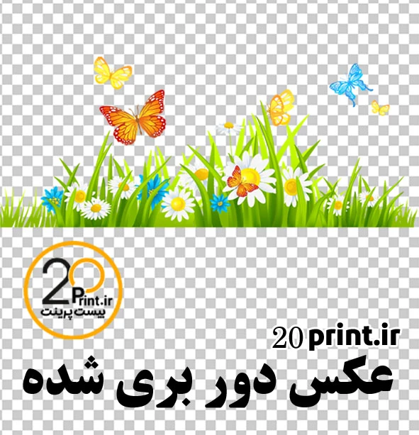 دانلود سبزه و گل png رایگان