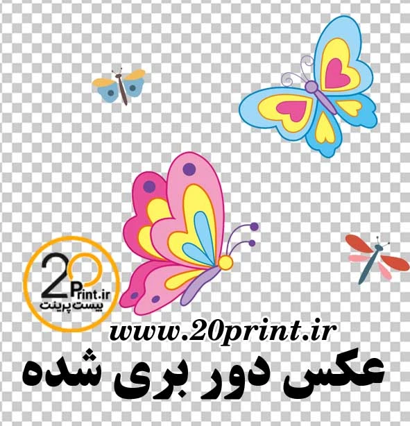 دانلود وکتور پروانه کارتونی رایگان png