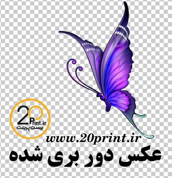 دانلود پروانه png بنفش رایگان