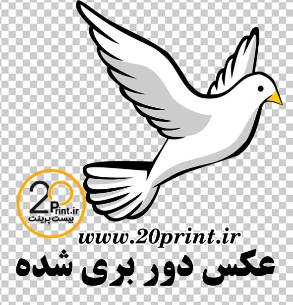 دانلود کبوتر png رایگان